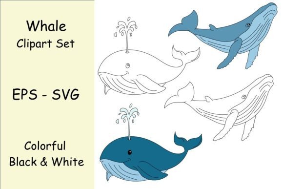 A Whale Clipart Set for Crafts, Graphics, and Creative Seas