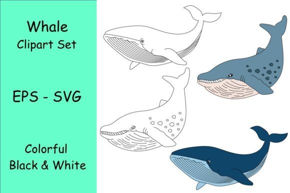 A Whale Clipart Set Review for Embroidery Projects