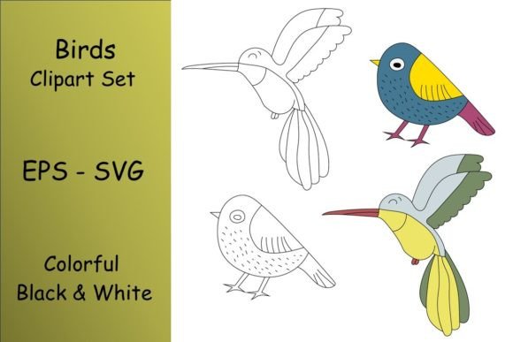 Crafting Brand Stories with Birds Clipart Graphics