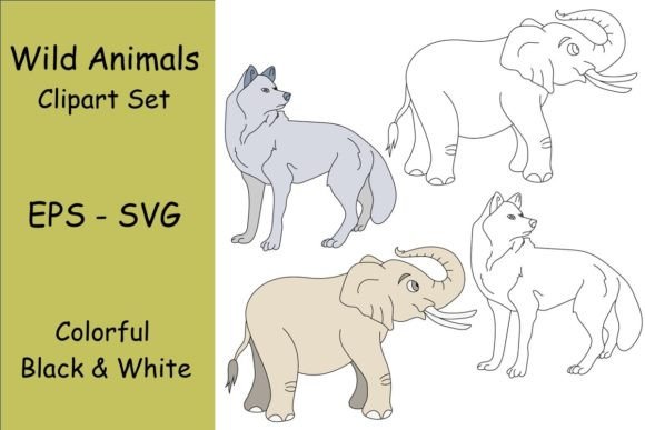 Crafting Brand Stories with Elephant & Wolf Graphics
