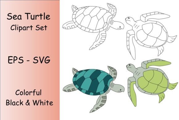 From Clipart to Craft: Using a Sea Turtle Graphics Set
