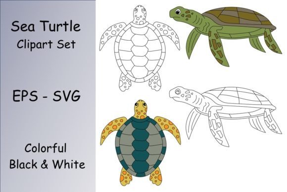 Sea Turtle Clipart for Crafters & Graphic Design Projects