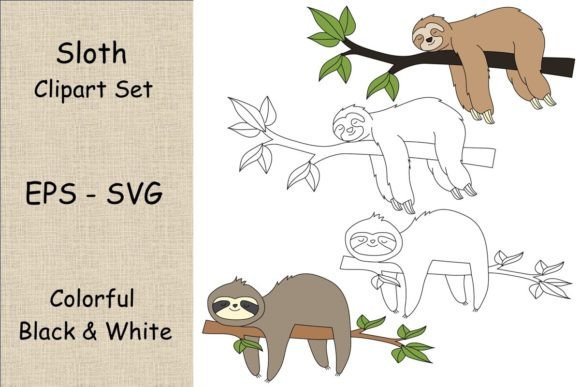 Sloth Clipart Assets: A Crafter's Review for Wild Graphics